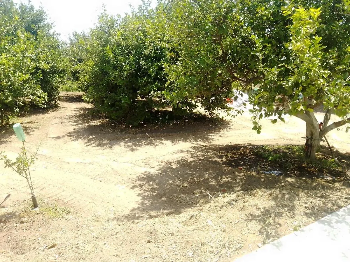 Casa Nell'Agrumeto Con Piscina Pozzallo 0*,  Itálie