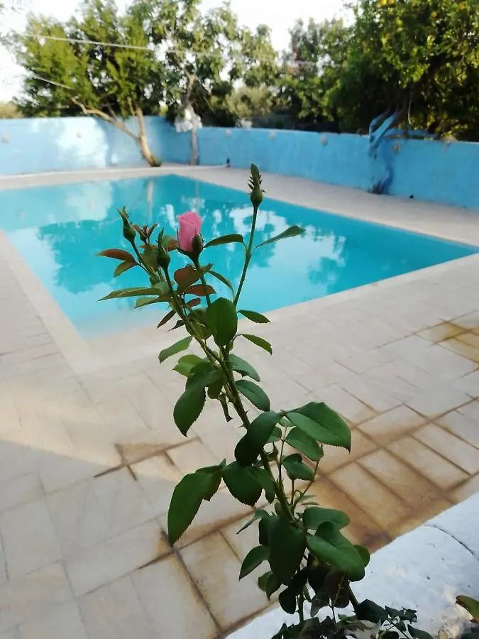 Casa Nell'Agrumeto Con Piscina Pozzallo Italy